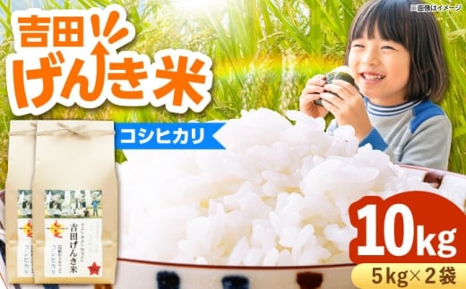 お米 吉田げんき米コシヒカリ 10kg（5kg×2袋）こしひかり コシヒカリ げんき 米 こめ おこめ はくまい 白米 精米 コメ 10キロ 使いやすい ごはん ご飯 おにぎり お弁当 朝ごはん 便利 朝食 食卓 主食 グルメ おいしい ふっくら もちもち 食感 国産 新生活 一人暮らし 家族 ご当地 ごはんソムリエ おすすめ 人気 島根県雲南市/有限会社藤本米穀店 [AIDB118]