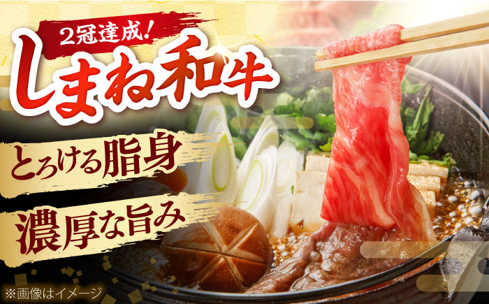 【全6回定期便】島根和牛プレミアセット 和牛 牛肉 定期便 肉 焼肉 すき焼き / 島根県雲南市 / フジキコーポレーション株式会社 [AIEA013]