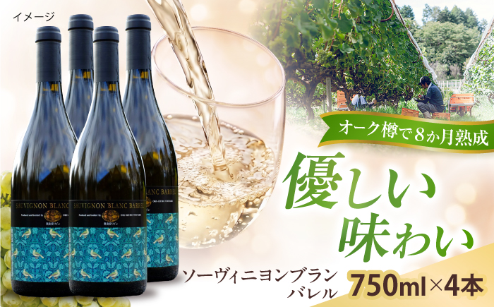 ソーヴィニヨンブランバレル 4本 750ml×4 白ワイン 樽熟成 国産 島根県雲南市/有限会社奥出雲葡萄園 [AICS118]