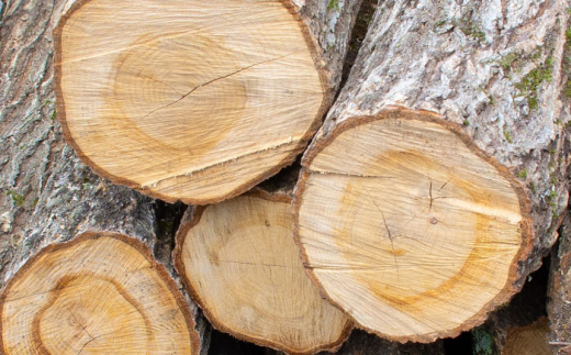 薪 雲南市 里山の薪(40cm) 20kg まき 薪 焚火 暖炉 キャンプ アウトドア まき マキ 焚き火 たき火 焚火 40�p薪 20kg薪 薪ストーブ ストーブ キャンプ薪 アウトドア薪 ソロキャンプ キャンプファイヤー BBQ バーベキュー 燃料 20kg 20キロ 大容量 乾燥薪 広葉樹 ナラ クヌギ 大容量薪 雲南市薪 島根県雲南市/合同会社グリーンパワーうんなん [AIBL007]