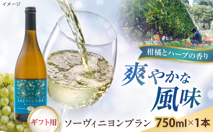 【贈答用】ソーヴィニヨンブラン 1本 750ml 白ワイン 国産 島根県雲南市/有限会社奥出雲葡萄園 [AICS110]