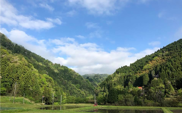杵つき玄米もち 240g×3袋 | 杵つき もち 玄米もち 餅 ぜんざい 島根県雲南市/株式会社吉田ふるさと村 [AIBB017]