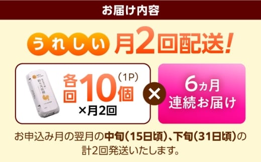 卵《月2回 × 10個 6ヵ月コース》 たたらの里平飼い 彩り天佑卵 全12回定期便 たまご 卵 放牧卵 平飼い卵 国産卵 タマゴ 玉子 鶏卵 鶏 卵黄 月2回 卵10個 6ヵ月 定期 新鮮卵 卵定期便 たまご定期便 卵料理 卵かけごはん 卵焼き 玉子焼き パック卵 便利 ストック卵 人気 美味しい卵 おすすめ 天佑卵島根県雲南市/株式会社たなべたたらの里（たなべ森の鶏舎） [AIDL018]