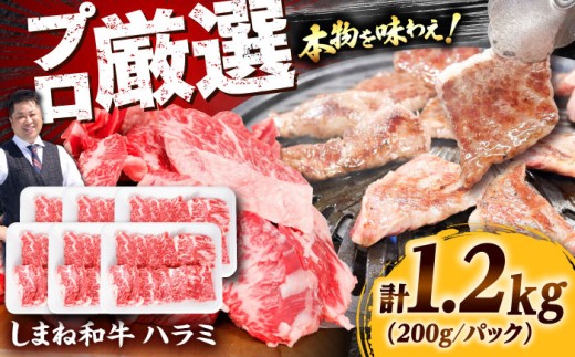 ハラミ【焼肉の定番！】しまね和牛ハラミ1.2kg 和牛 牛肉 肉 にく 焼肉 ハラミ 国産 国産牛 焼肉 国産ハラミ ハラミ肉 サガリ オオカク 部位 ミックス お肉 人気 焼き肉 おすすめ 特製ハラミ 1.2kg おかず ご飯 キャンプ BBQ 食卓 料理 夕食 1.2kgハラミ ブランド牛 しまね和牛 贅沢焼肉 わぎゅう お祝い やきにく 島根県雲南市/株式会社O.R.C [AIEF010]