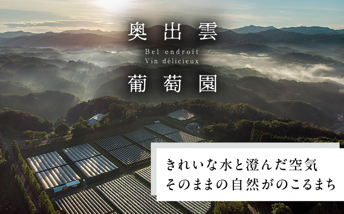 マスカット・ベーリーA 2本 750ml×2 赤ワイン 国産 島根県雲南市/有限会社奥出雲葡萄園 [AICS126]