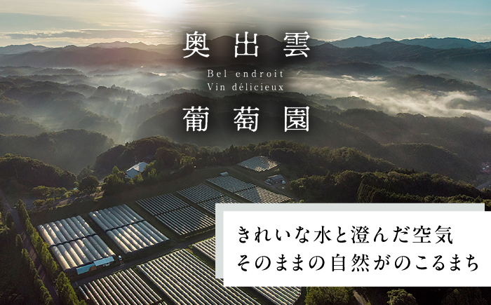 ピノタージュ 4本 750ml×4 赤ワイン 国産 島根県雲南市/有限会社奥出雲葡萄園 [AICS108]