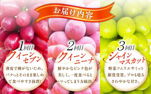 フルーツ【全3回定期便】【2026年先行予約】【30個限定】【自宅用】毎月ぶどうをお届け！イチオシ3品種 各2房  厳選 シャインマスカット マスカット ブドウ ぶどう 葡萄 大粒 季節 夏 限定 優品 果物 フルーツ お取り寄せ 旬 美味しい 毎月お届け 定期便  自宅 家族 クイーンニーナ クイーンセブン 糖度 人気 おすすめ 一押し 定期便 島根県雲南市/ギアファーム [AIAB011]