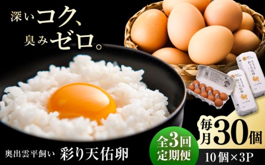 卵 【平飼い卵】【3回定期便】黄身の濃厚なコクと白身の甘み！たたらの里平飼い 彩り天佑卵 30個入り（10個×3P）/ たまご 卵 放牧卵 タマゴ 生卵 国産 平飼い 放し飼い 卵焼き 卵かけご飯 朝食 朝ごはん ご褒美 コク 旨み 贅沢 お取り寄せ 毎日食べたい卵 美容 健康 単品 定期便 人気 高評価 ランキング 島根県雲南市/株式会社たなべたたらの里（たなべ森の鶏舎） [AIDL002]