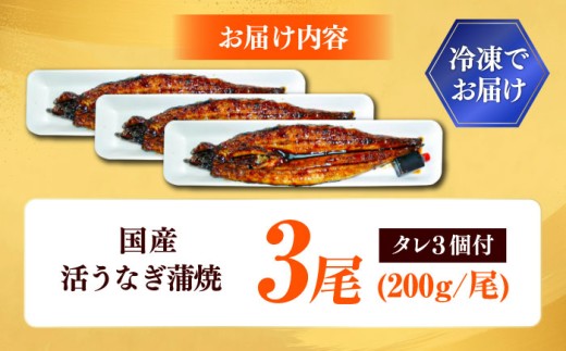 【うなぎの美味しさはタレで決まる！】自慢の味・国産活うなぎ蒲焼（3本入）| うなぎ タレ 蒲焼 国産 美味しい うな丼 鰻重 魚 島根県雲南市/有限会社石田魚店 [AICQ009]