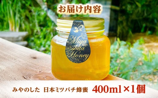 はちみつ 希少な天然日本ミツバチの「はちみつ」 400ml×1個 蜂蜜 国産 日本蜜蜂 ニホンミツバチ 天然 100% 400ml 1個 1本 瓶詰め 生はちみつ 非加熱 完熟 お取り寄せグルメ ご当地グルメ 高級 希少 貴重 贈り物 贈答 人気 おすすめ 送料無料 百花蜜 酵素 栄養 健康 美容 パン ヨーグルト 紅茶 料理 島根県雲南市/みやのしたハチミツ [AICL002]