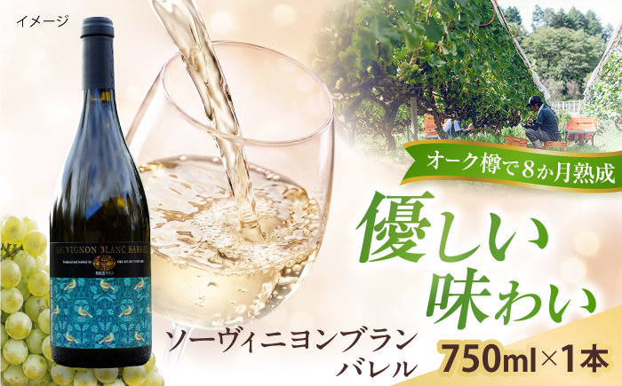 ソーヴィニヨンブランバレル 1本 750ml 白ワイン 樽熟成 国産 島根県雲南市/有限会社奥出雲葡萄園 [AICS114]