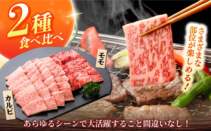 しまね和牛 2種の焼肉セット（カルビ400ｇ/モモ400ｇ）和牛 牛肉 赤身 焼肉 セット / 島根県雲南市 / フジキコーポレーション株式会社 [AIEA007]