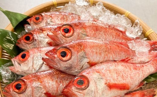 のどぐろの西京漬け1本 のどぐろ 魚介 西京漬け 魚 焼き魚 おかず 高級魚 アカムツ 島根県雲南市/有限会社田丸屋魚店 [AIEH002]