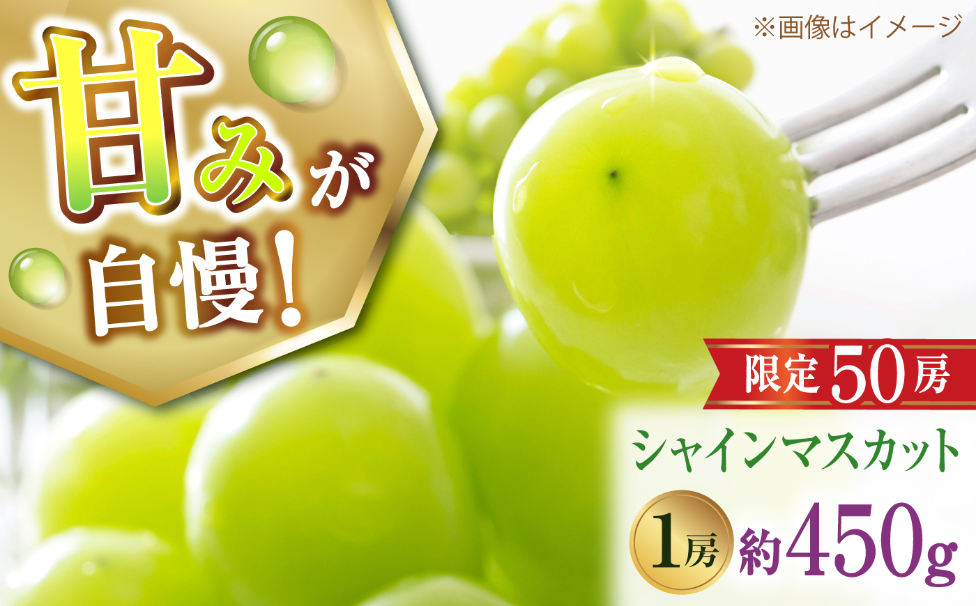 【先行予約】【50個限定】【2026年8月下旬以降順次発送】 【ご家庭用】シャインマスカット1房 島根県雲南市/なばらファーム [AIEU001]