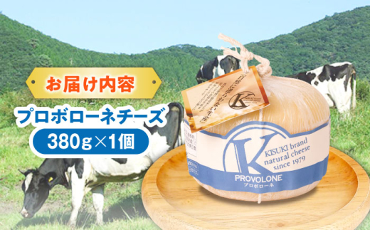 チーズ プロボローネチーズ 1個 380g | チーズ 乳製品 人気 おすすめ プロボローネ ナチュラルチーズ 380g 1個 大型 木次乳業 きすき 冷蔵 産地直送 お取り寄せグルメ ご当地グルメ 国産 国内製造 美味しい 加熱料理 ピザ パスタ グラタン トースト おつまみ つまみ ワインのお供 濃厚 マイルド 熟成 島根 雲南 島根県雲南市/木次乳業有限会社 [AIBH018]