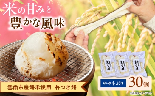 杵つき餅（丸餅）　380g×3袋　餅 もち 切もち 切り餅 丸餅 お正月 雲南市産 本格 杵つき 島根県雲南市/株式会社大東農産加工場 [AIEG001]