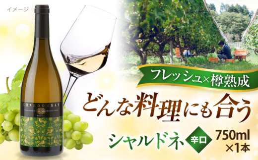 ワイン 奥出雲葡萄園 シャルドネ(白ワイン)国産 ワイン セット 白ワイン シャルドネ 1本 単品 750ml 辛口 フルーティー お酒 酒 アルコール 日本ワイン 国産ワイン 地ワイン 贈り物 プレゼント 贈答 お祝い 誕生日 記念日 パーティー 人気 おすすめ 送料無料 冷酒 奥出雲 晩酌 家飲み ホームパーティー 島根県雲南市/有限会社奥出雲葡萄園 [AICS050]