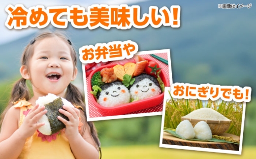 新米【令和8年産】吉田げんき米つや姫 5kg つやひめ げんき 米 こめ おこめ はくまい 白米 ライス 精米 コメ 5キロ 使いやすい ごはん ご飯 おにぎり お弁当 朝ごはん 便利 朝食 食卓 主食 グルメ おいしい ふっくら もちもち 食感 国産 新生活 一人暮らし 家族 家庭用 ご当地 ごはんソムリエ おうちごはん おすすめ 人気 島根県雲南市/有限会社藤本米穀店[AIDB123-r8]