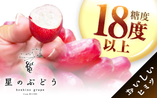 フルーツ【2026年先行予約】【10個限定】【贈答用】期待の新品種！クイーンセブン 1房（約350g）秀品・化粧箱入りぶどう 葡萄 皮ごと 種なし 果物 産直 産地直送 旬 限定 先行予約 高級 ギフト 贈答 贈り物 ブドウ オリジナル化粧箱 ギフト 星のぶどう 夏のギフト 大粒 甘い デザート スイーツ クイーンセブン 雲南 ご当地 島根県雲南市/ギアファーム [AIAB007]