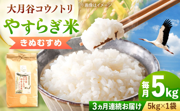 お米【全3回定期便】大月谷コウノトリやすらぎ米 5kg きぬむすめ 米 こめ おこめ はくまい 白米 ライス 精米 コメ 5キロ 使いやすい ごはん ご飯 おにぎり お弁当 朝ごはん 便利 朝食 食卓 主食 グルメ おいしい 上品 ツヤ 国産 新生活 一人暮らし 家族 ご当地 ごはんソムリエ おうちごはん おすすめ 人気 定期便 島根県雲南市/有限会社藤本米穀店 [AIDB138]