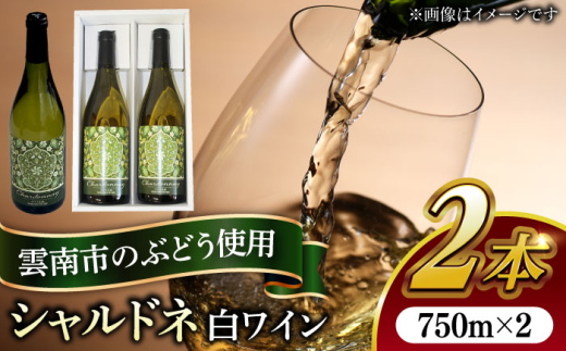 ワイン 尺の内農園ワイン シャルドネ 2本セット | ワイン シャルドネ 農園 島根 2本セット 白ワイン 辛口 シャルドネ 日本ワイン 国産ワイン 地ワイン 2本 2本セット セット 詰め合わせ 飲み比べ お酒 酒 アルコール 750ml ギフト 贈り物 プレゼント お祝い 誕生日 記念日 パーティー お取り寄せ 人気 おすすめ 島根県雲南市/社会福祉法人　あおぞら福祉会 [AIBU003]