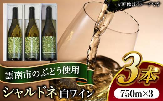 ワイン 尺の内農園ワイン シャルドネ 3本セット | ワイン シャルドネ 3本セット おすすめ 人気 白ワイン 辛口 シャルドネ 日本ワイン 国産ワイン 地ワイン 3本 3本セット セット 詰め合わせ 飲み比べ お酒 酒 アルコール 750ml ギフト 贈り物 プレゼント お祝い 誕生日 記念日 パーティー お取り寄せ 人気 おすすめ 島根県雲南市/社会福祉法人　あおぞら福祉会 [AIBU004]