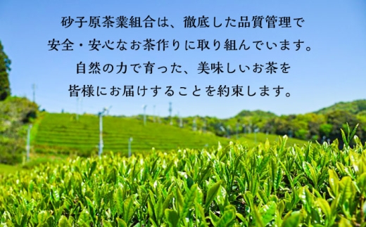 お茶 ふるさとの味 あんがいまいよ 煎茶・和紅茶セット ティーバッグ 飲み比べ 紅茶 煎茶 日本茶 緑茶 煎茶 和紅茶 国産紅茶 紅茶 2種 セット 詰め合わせ 飲み比べセット 飲料 ドリンク 茶葉 ティーバッグ ティーパック 簡単 手軽 お取り寄せグルメ カテキン 健康 人気 おすすめ 産地直送 ギフト 贈り物 プレゼント 贈答 島根 雲南 島根県雲南市/砂子原茶業組合 [AIBV004]