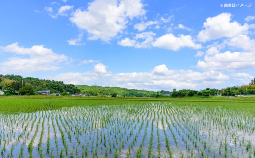 新米【令和8年産】雲南市産つや姫 10kg（5kg×2袋）つやひめ 米 こめ おこめ はくまい 白米 精米 コメ 10キロ 使いやすい ごはん ご飯 おにぎり お弁当 朝ごはん 便利 朝食 食卓 主食 グルメ おいしい ふっくら もちもち 食感 国産 新生活 一人暮らし 家族 おうちごはん ご当地 ごはんソムリエ 特A おすすめ 人気 お取り寄せ 島根県雲南市/有限会社藤本米穀店 [AIDB112-r8]