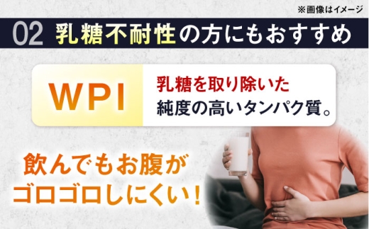 プロテイン【全12回定期便】ALPRON PRO WPI プロテイン 900g ダブルリッチチョコレート風味 1個 ダイエット タンパク質 筋肉 筋トレ 女性 男性 健康 美容 ホエイプロテイン 置き換え 栄養 運動 トレーニング おいしい 飲みやすい 溶けやすい 人気 おすすめ 高評価 体型維持 アミノ酸 ビタミン おすすめ 飲料 定期便 島根県雲南市/株式会社アルプロン [AIAL113]