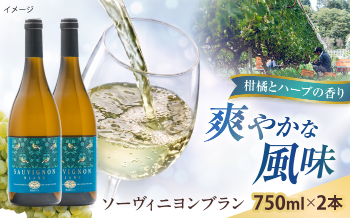 ソーヴィニヨンブラン 2本 750ml×2 白ワイン 国産 島根県雲南市/有限会社奥出雲葡萄園 [AICS111]