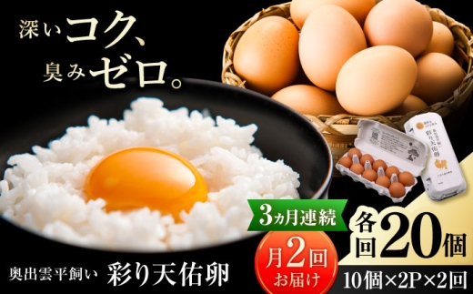 卵《月2回 × 20個 3ヵ月コース》 たたらの里平飼い 彩り天佑卵 全6回定期便 たまご 卵 放牧卵 平飼い卵 国産卵 タマゴ 玉子 鶏卵 鶏 卵黄 月2回 卵20個 3ヵ月 定期 新鮮卵 卵定期便 たまご定期便 卵料理 卵かけごはん 卵焼き 玉子焼き パック卵 便利 ストック卵 人気 美味しい卵 おすすめ 天佑卵 島根県雲南市/株式会社たなべたたらの里（たなべ森の鶏舎） [AIDL021]