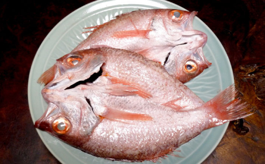 漬け魚 【島根特産・海と山の幸のコラボ！驚きの美味さ】のどぐろ塩糀漬け 500g | 魚 さかな 魚介 うまい 美味しい のどぐろ アカムツ 魚 魚介類 ノドグロ アカムツ 高級魚 塩麹漬け 塩糀漬け 500g 大容量 冷凍 個包装 焼くだけ 簡単調理 おかず 惣菜 ご飯のお供 お弁当 おつまみ つまみ 人気 おすすめ 美味しい 贅沢 ご褒美 島根県雲南市/有限会社石田魚店 [AICQ006]