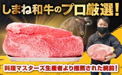 焼肉の定番！しまね和牛焼肉用ロース/肩ロース500g（各250g×1）肉 にく お肉 おにく 和牛 牛肉 ぎゅうにく 牛肉500g 国産 国産牛 ブランド牛 赤身 焼肉 焼肉用 やきにく ロース 肩ロース 肉2パック 人気  黒毛和牛 しまね和牛 島根和牛 島根 おすすめ 美味しい 柔らかい肉 詰め合わせ お試し 食べ比べ ロース2種 島根県雲南市/株式会社O.R.C [AIEF011]