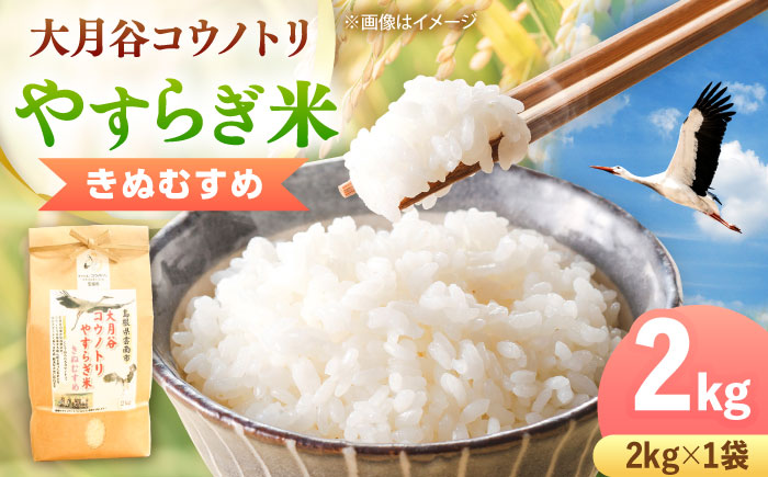 お米 大月谷コウノトリやすらぎ米きぬむすめ 2kg 米 こめ おこめ 白米 精米 コメ ブランド米 お米2kg ご飯 島根米 きぬむすめ米 米2kg 小分け 銘柄米 特A米 しまねきぬむすめ 食味評価特A 朝食 おすすめ 人気 島根県雲南市/有限会社藤本米穀店 [AIDB134]