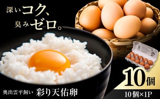 卵 【平飼い卵】黄身の濃厚なコクと白身の甘み！たたらの里平飼い 彩り天佑卵 10個入り（10個×1P）たまご 卵 雲南 放牧卵 タマゴ 鶏卵 生卵 国産 放し飼い 卵焼き 卵かけご飯 TKG 朝食 朝ごはん ご褒美 コク 旨み 贅沢 お取り寄せ 毎日食べたい卵 美容 健康 単品 6千円 お試し 人気 高評価 ランキング 島根県雲南市/株式会社たなべたたらの里（たなべ森の鶏舎） [AIDL006]