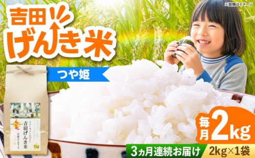 お米【全3回定期便】吉田げんき米つや姫 2kg つやひめ げんき 米 こめ おこめ はくまい 白米 ライス 精米 コメ 2キロ 使いやすい ごはん ご飯 おにぎり お弁当 朝ごはん 便利 朝食 食卓 主食 グルメ おいしい ふっくら もちもち 食感 国産 新生活 一人暮らし 家族 ご当地 ごはんソムリエ おすすめ 人気 定期便 島根県雲南市/有限会社藤本米穀店 [AIDB125]