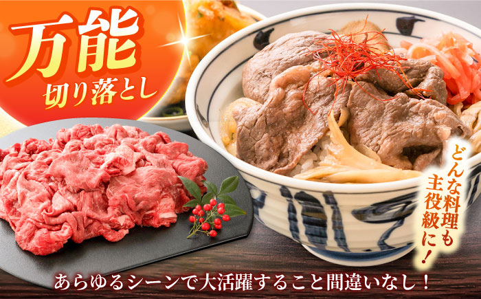 しまね和牛 切り落とし 1kg 和牛 牛肉 スライス / 島根県雲南市 / フジキコーポレーション株式会社 [AIEA001]