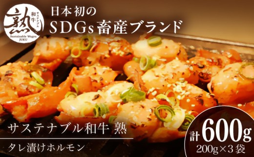 和牛 サステナブル和牛 熟 タレ漬けホルモン3P 200g×3袋 計600g | 牛肉 和牛 黒毛和牛 熟成 タレ漬け セット 冷凍 小分け バーベキュー 国産 ホルモン 焼肉 旨味 濃厚 ジューシー ブランド牛 絶品 お取り寄せ 贈り物 ギフト 人気 おすすめ 美味しい 絶品 グルメ ご当地 タレ漬けホルモン 自宅用 お祝い SDGs 島根県雲南市/株式会社熟豊ファーム [AIAT004]