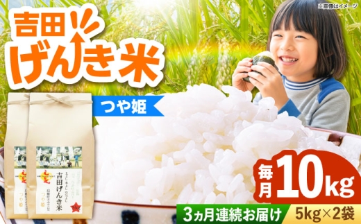 お米【全3回定期便】吉田げんき米つや姫 10kg（5kg×2袋）つやひめ げんき 米 こめ おこめ はくまい 白米 ライス 精米 コメ 使いやすい ごはん ご飯 おにぎり お弁当 朝ごはん 便利 朝食 食卓 主食 グルメ おいしい ふっくら もちもち 食感 国産 新生活 一人暮らし 家族 ご当地 ごはんソムリエ おすすめ 人気 定期便 島根県雲南市/有限会社藤本米穀店[AIDB127]