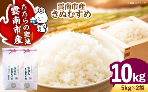 お米 雲南市産きぬむすめ 10kg（5kg×2袋）米 こめ おこめ はくまい 白米 ライス 精米 コメ 特A 使いやすい ごはん ご飯 おにぎり お弁当 朝ごはん 便利 朝食 食卓 主食 グルメ おいしい つや あっさり 飽きない もっちり 食感 国産 新生活 一人暮らし 家族 ご当地 ごはんソムリエ おうちごはん おすすめ 人気 島根県雲南市/有限会社藤本米穀店 [AIDB100]