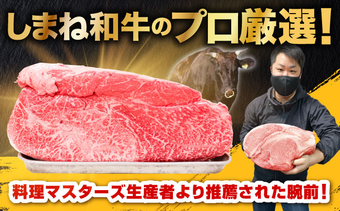 しまね和牛 ヒレステーキ500g 和牛 牛肉 国産 国産牛 赤身 ステーキ ヒレ 人気 黒毛和牛 ギフト 島根県雲南市/株式会社O.R.C [AIEF023]