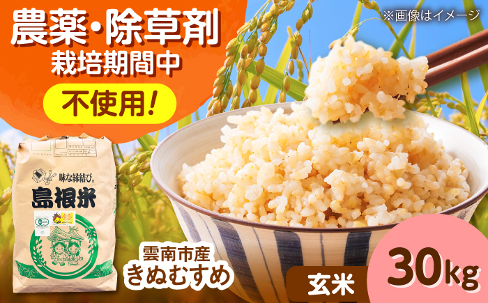 【有機JAS認定】令和7年産 玄米 雲南市産きぬむすめ 30kg（10kg×3袋） 島根県雲南市/佐藤ファーム ｜玄米 コメ 有機栽培 完全無農薬 美味しまね認証 [AIEO008]