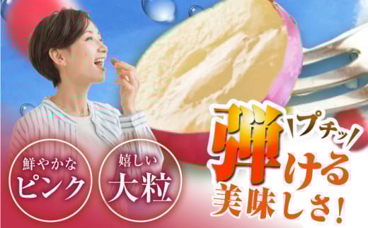 フルーツ	【2026年先行予約】【30個限定】【ご自宅用】リピーターが続出中！クイーンニーナ 1房（約450g）簡易包装 訳あり  厳選 クイーンニーナ ブドウ ぶどう 葡萄 大粒 季節 夏 限定 優品 果物 フルーツ お取り寄せ 旬 送料無料 産地直送 訳あり 産直 旬 甘い 糖度 デザート スイーツ 雲南 絶品 ご当地 人気 おすすめ 島根県雲南市/ギアファーム [AIAB006]
