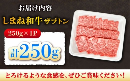 牛肉【高級部位】しまね和牛ザブトン250g 和牛 牛肉 にく お肉 国産 国産牛 焼肉 やきにく リブロース 人気 黒毛和牛 しまね和牛 わぎゅう ザブトン 高級 島根県 雲南市 250g肉 ザブトン250g リブロース キャップ 霜降り お取り寄せ グルメ 霜降り肉 晩ごはん おうちごはん バーベキュー BBQ キャンプ 贅沢 肉料理 島根県雲南市/株式会社O.R.C [AIEF017]