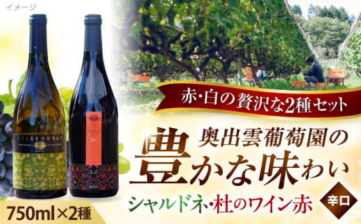 奥出雲葡萄園 シャルドネ・杜のワイン赤 ワイン お酒 ギフト 国産 熟成ワイン 熟成 酒 赤 赤ワイン 白 白ワイン 辛口 果実酒 お祝 贈答用 アルコール フルボトル 飲料 島根県雲南市/有限会社奥出雲葡萄園 | ワインセット おすすめ 人気 詰め合わせ 飲み比べ 飲み比べセット ワインギフト プレゼント 贈り物 パーティー 家飲み 宅飲み 晩酌 誕生日 記念日 クリスマス [AICS005]