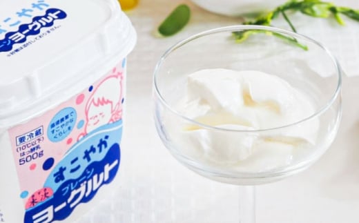 プレーンヨーグルト14個セット ヨーグルト プレーン 無糖 乳製品 乳酸菌 健康 アレンジ スイーツ 人気 大容量 島根県雲南市/木次乳業有限会社 [AIBH034]