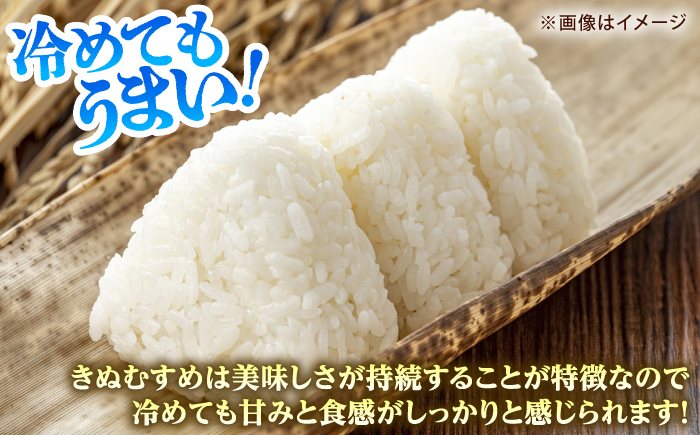 新米【全3回定期便】【令和8年産】雲南市産きぬむすめ 10kg（5kg×2袋）米 こめ おこめ はくまい 白米 ライス 精米 コメ 特A 10キロ 使いやすい ごはん ご飯 おにぎり お弁当 朝ごはん 便利 朝食 食卓 主食 グルメ おいしい つや あっさり もっちり 食感 国産 新生活 一人暮らし 家族 ご当地 ごはんソムリエ おすすめ 人気 定期便 島根県雲南市/有限会社藤本米穀店 [AIDB103-r8]