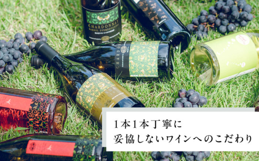 ワイン 奥出雲葡萄園 杜のワイン白・赤 2本セット? 国産 ワイン セット 白ワイン 赤ワイン 2本 2本セット 詰め合わせ 飲み比べ セット お酒 酒 アルコール 日本ワイン 国産ワイン 地ワイン 750ml やや甘口 スッキリ 飲みやすい お取り寄せ 贈り物 プレゼント お祝い 誕生日 記念日 パーティー 人気 おすすめ 送料無料 常温 島根県雲南市/有限会社奥出雲葡萄園 [AICS046]
