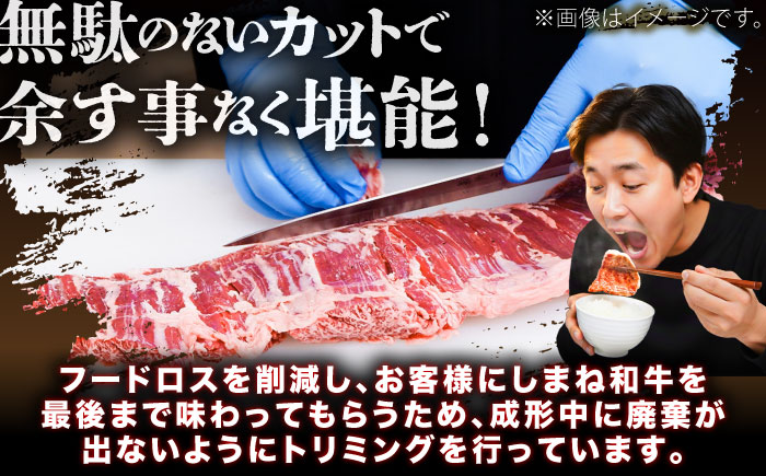 しまね和牛 ヒレステーキ1kg 和牛 牛肉 国産 国産牛 赤身 ステーキ ヒレ 人気 黒毛和牛 ギフト 島根県雲南市/株式会社O.R.C [AIEF024]