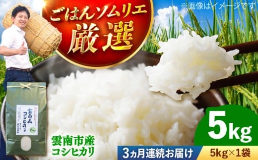 お米【全3回定期便】雲南市産コシヒカリ 5kg こしひかり コシヒカリ 米 こめ おこめ はくまい 精米 コメ 5キロ 使いやすい ごはん ご飯 おにぎり お弁当 朝ごはん 朝食 食卓 主食 グルメ おいしい ふっくら もちもち 濃厚 冷めても美味しい 国産 新生活 一人暮らし 家族 ご当地 ごはんソムリエ  おすすめ 人気 定期便 島根県雲南市/有限会社藤本米穀店 [AIDB108]